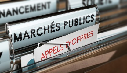 MARCHES PUBLICS DE PRESTATIONS DE SERVICES (SAFE CLUSTER)