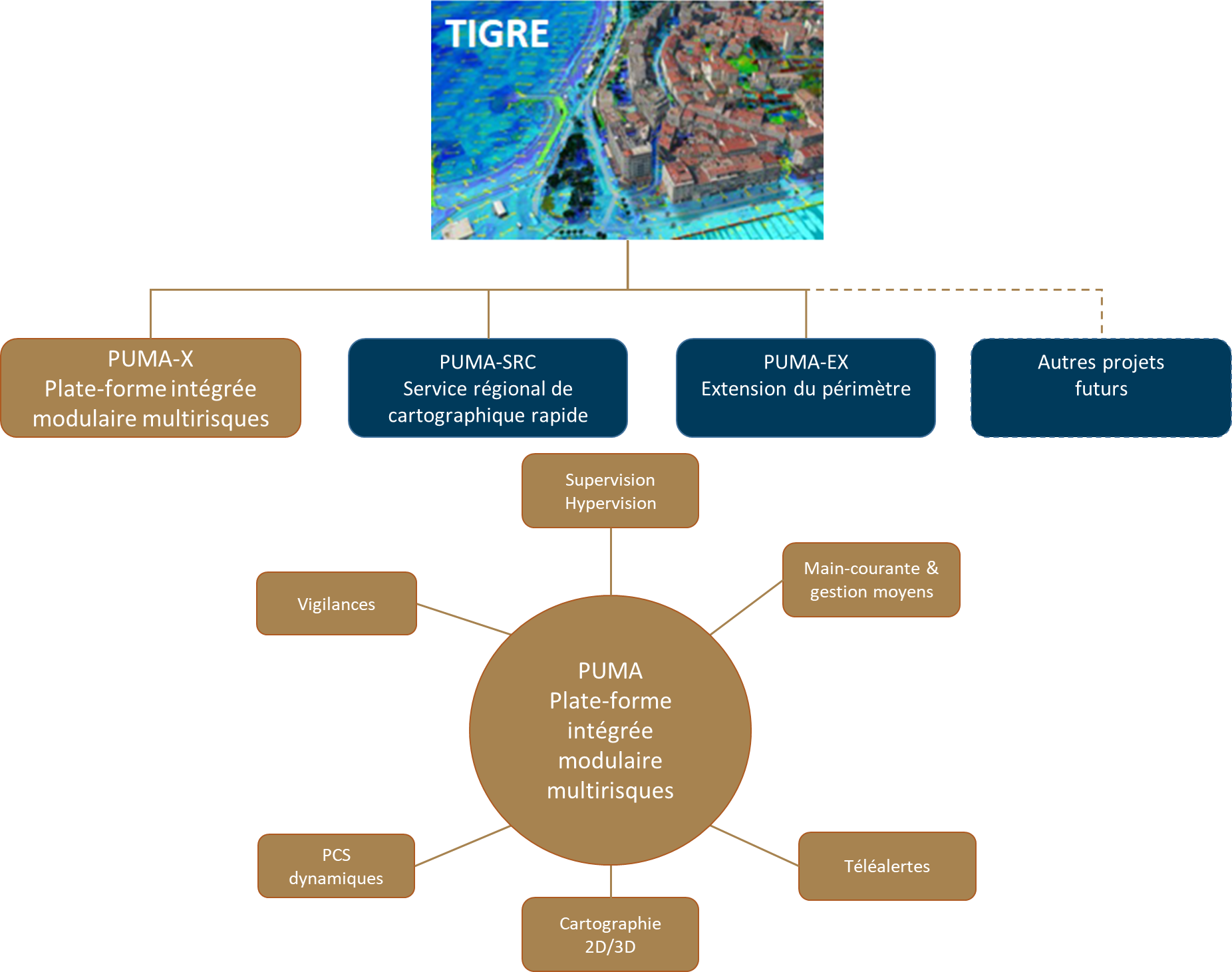 tigre