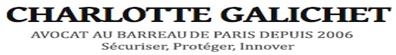 AVOCAT SPI copie