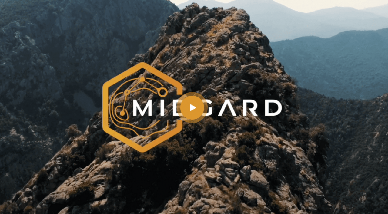 MIDGARD AI