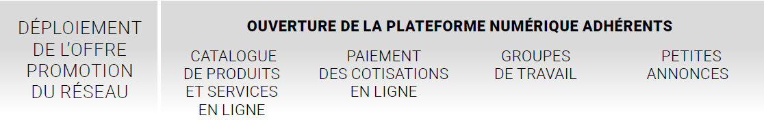 promotion