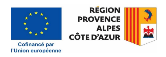 AAP FEDER Massif alpes risques naturels “Encourager la résilience des territoires et la protection des populations face aux risques naturels”
