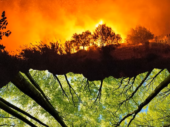 SYLVIACARE sélectionnée pour expérimenter sa solution innovante de détection des incendies en Nouvelle-Aquitaine