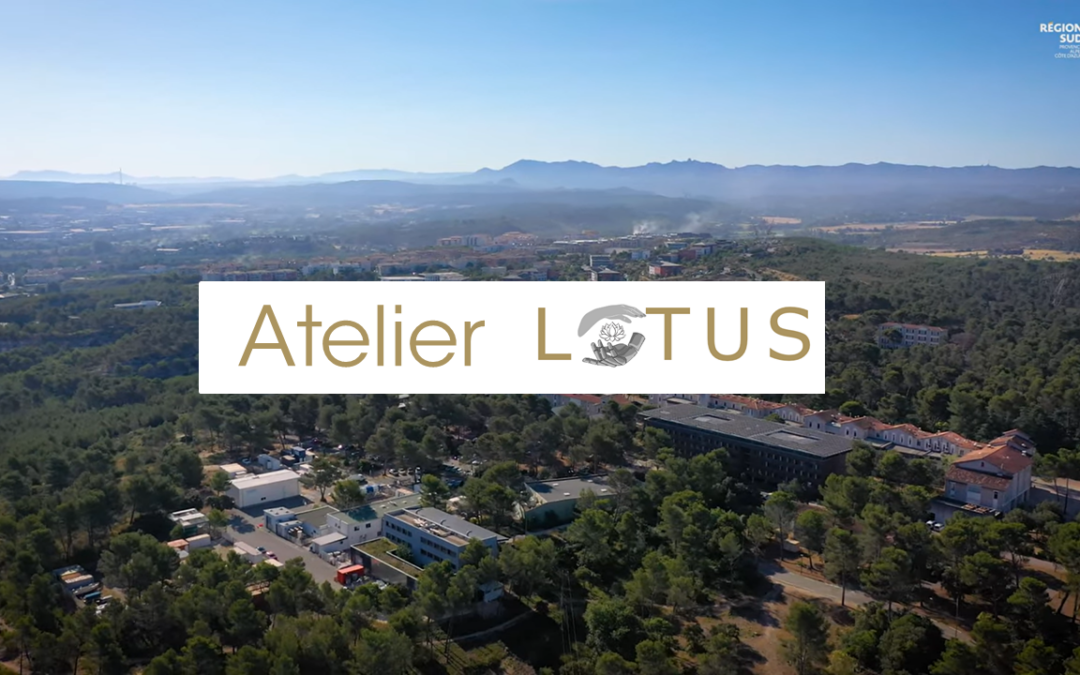 Atelier LOTUS – Label pour Orienter les Technologies et les Usages vers la Soutenabilité
