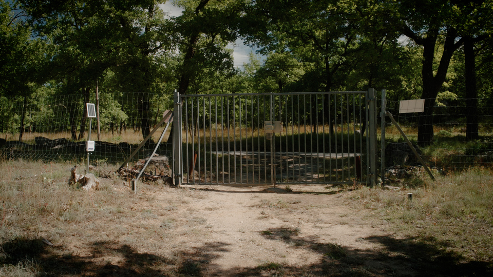 Expérimentations DFCI Provence Verte_SAFE (10)