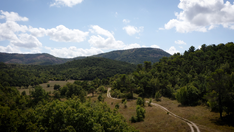 Expérimentations DFCI Provence Verte_SAFE (4)