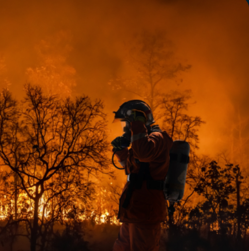 Appel à projets « Wildfires – Wildfire Preparedness » Services innovants pour la prévention et la préparation aux feux de forêt grâce aux technologies spatiales